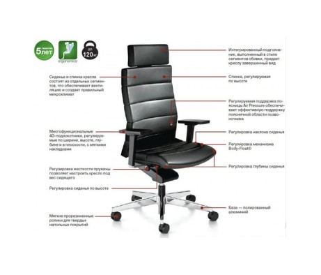 CHAMP Armchair with Headrest