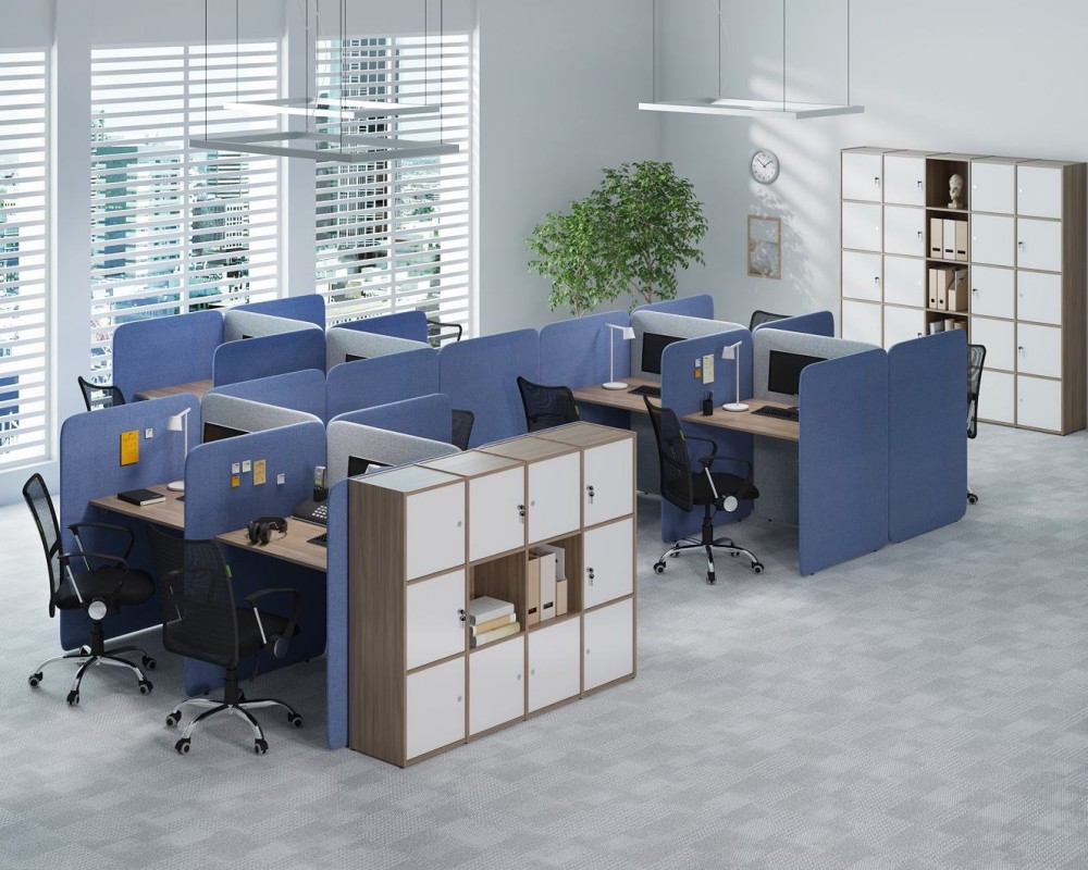 Locker Plus Storage System