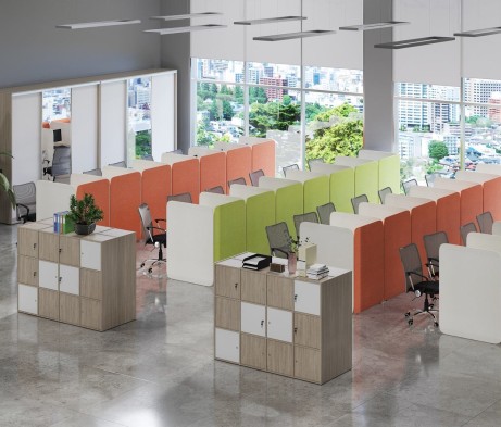 Locker Plus Storage System