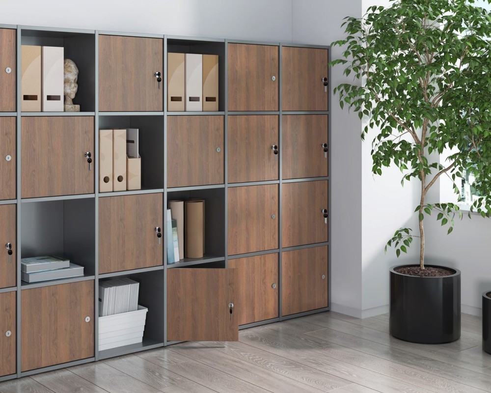 Locker Plus Storage System