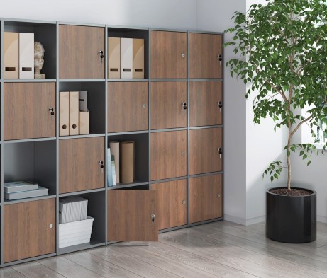 Locker Plus Storage System