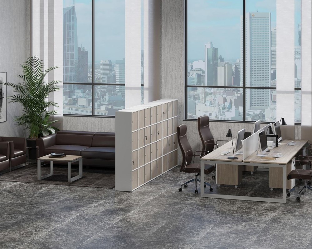 Locker Plus Storage System