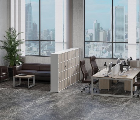 Locker Plus Storage System