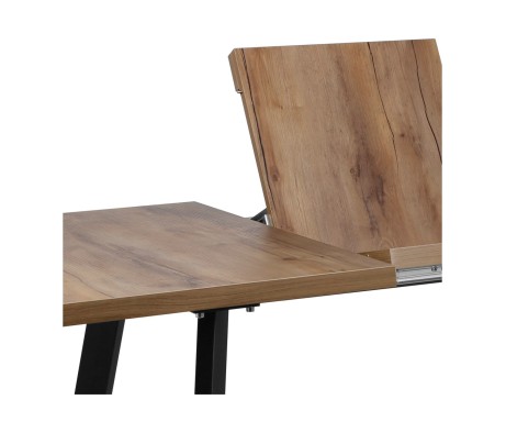 Borg extendable table