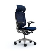 Orthopedic computer chairs