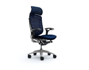 Orthopedic computer chairs