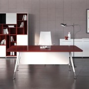 Office furniture for a female executive
