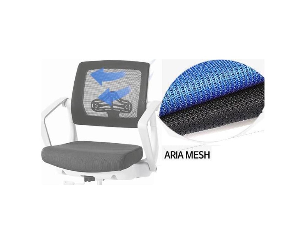 Sinif Robo Armchair C-250 SY-1202 WH