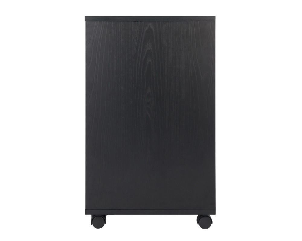 Halifax 2-Door, 4-Drawer Mobile Cabinet, Black