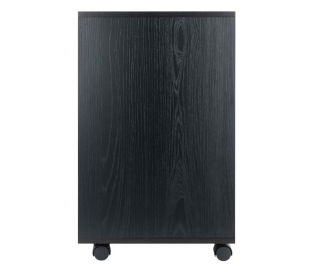 Norfolk Cabinet with 2 Drawers, 6 Bins, Black Finish