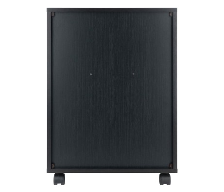 Norfolk Cabinet with 2 Drawers, 6 Bins, Black Finish